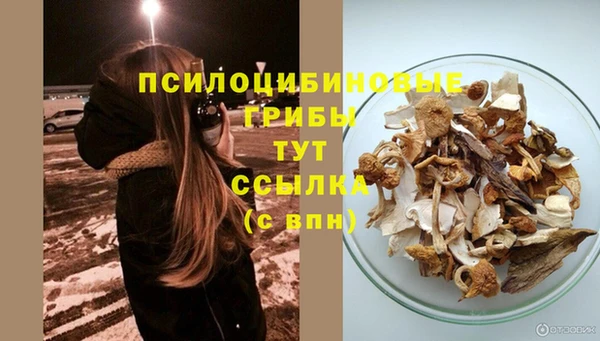 дмт Бугульма