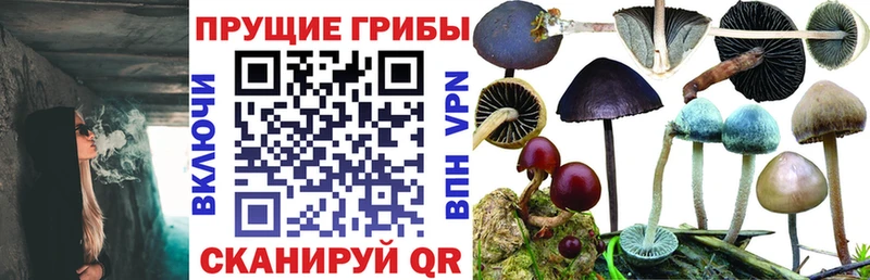 Псилоцибиновые грибы прущие грибы Монино